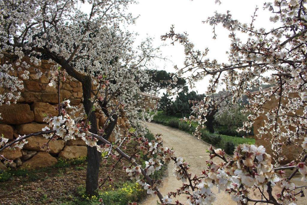 Villa Agriturismo Feudo Muxarello Aragona Exterior foto